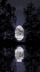 pic for moon shine